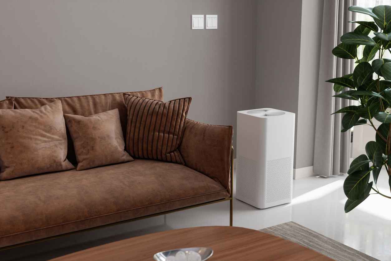 Air filtration system in a living room with a brown sofa and plant nearby