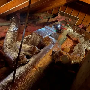 Copy of Barbara_R_5(1)