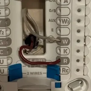 Copy of Barry_Michelle_W_3